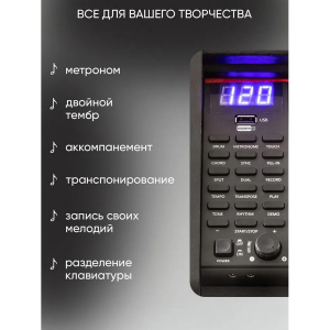 Купить Синтезатор AIWA ASZ-88B-8.jpg